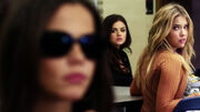 PLL209 (5)