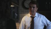 PLL206-1159.jpg