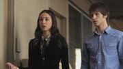 PLL119-0481.jpg