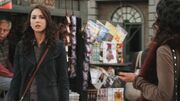 PLL216-00443.jpg