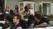 PLL213-00086.jpg