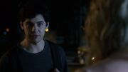 PLL303-0981.jpg