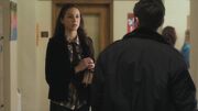 PLL119-0425.jpg
