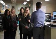 Pll-502-19