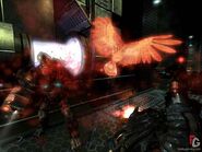 Talon - tommys spirit hawk.jpg (104 KB) Talon attacking