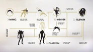 Typhon ecology, excluding cystoids and poltergeists, according to TranStar research