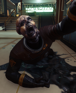 JasonInfo