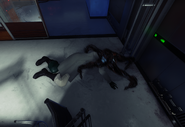 Lucia's demise.