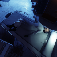 Lucia's corpse.