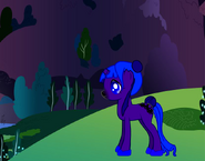 24's Pony Form