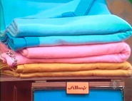 ...and 3 St. Mary's queen size blankets.