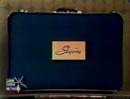 ...and Skyway ladies' luggage.