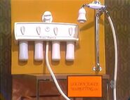 ...and a Golden Eagle Beauty Fountain shower
