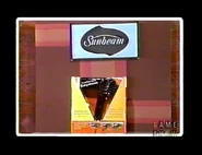 ...and a Sunbeam hair styler.