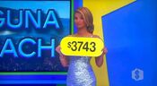 The price of the trip to Laguna Beach.