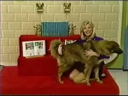 ChantelTPiR48.jpg (65 KB)