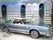 Holeinonefordthunderbird1979-1