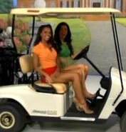 TPIR Models on Golf Cart-2