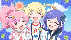 SHINING FLOWER | PriChan Wiki | Fandom