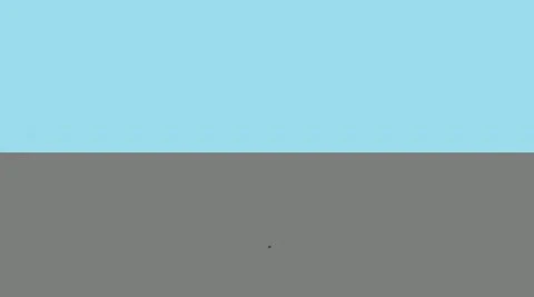 Autosexual Flag | Pride Flag Wiki | Fandom