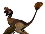 Oviraptor