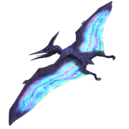 Legendary opal ptera