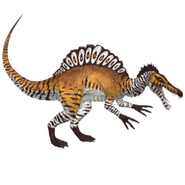 Striped Mustang Spino