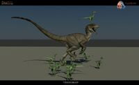 Render raptors