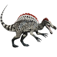 Rare Red-Spotted Spino