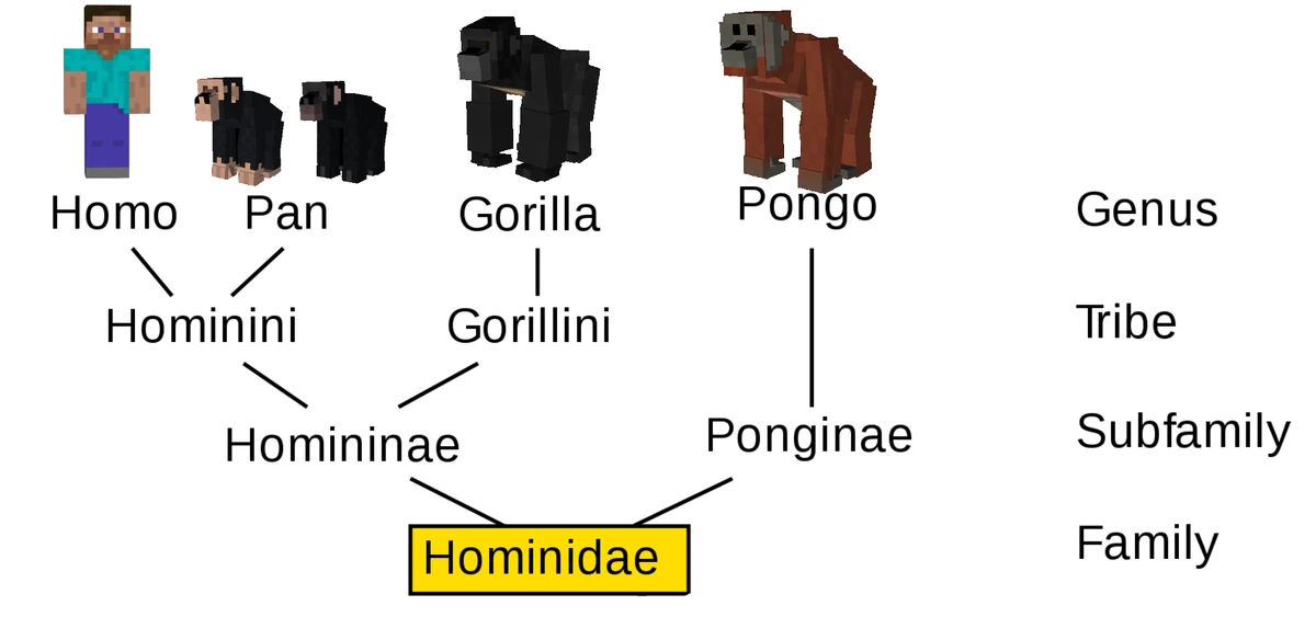 Primates | Into the Jungle: A Primate Mod Wiki | Fandom