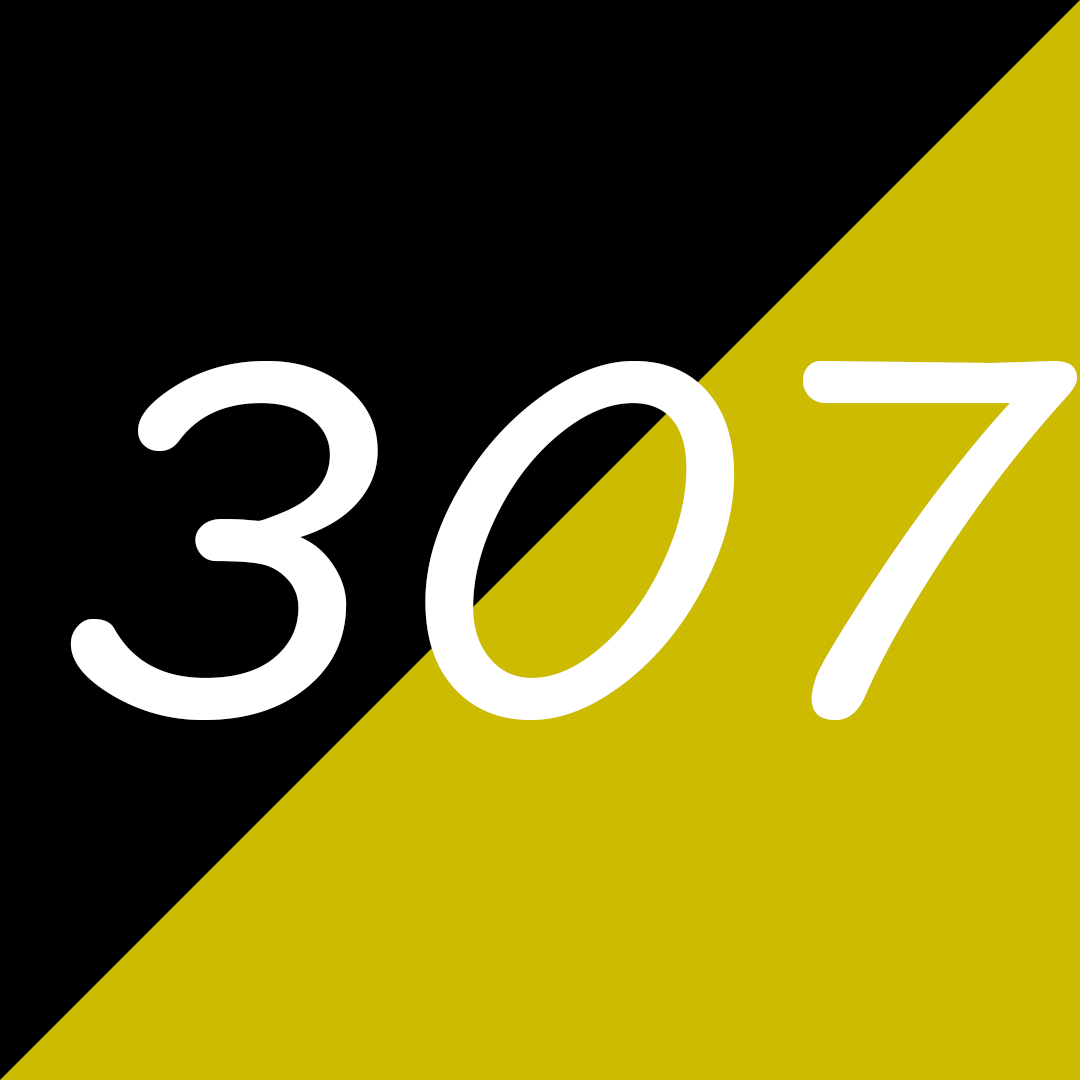 307, Prime Numbers Wiki