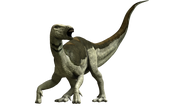 Tenontosaurus