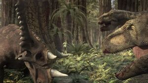 Chasmosaurus fighting Daspletosaurus