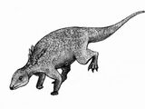 Liaoningosaurus (PAS)