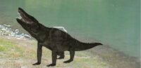 Uberabasuchus