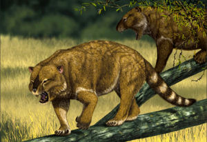 marsupial lion vs megalania