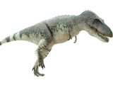 Daspletosaurus (PAS)