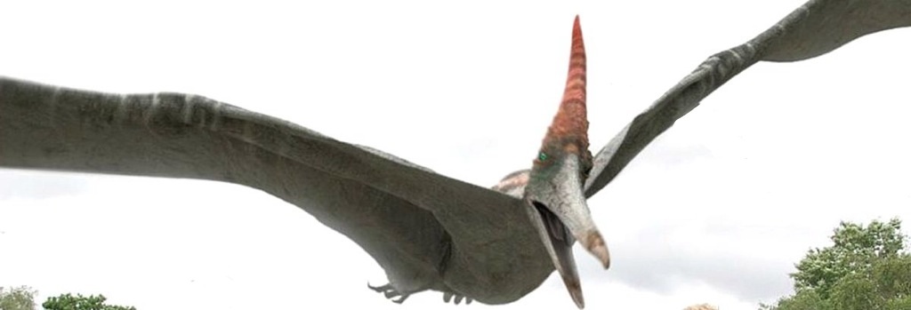 Versus!: Pteranodon vs. Eagle