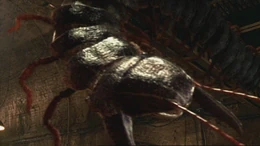 The Arthropleura showing its flexible segmented plates