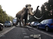 Gallery 3 (45).jpg (1.02 MB)