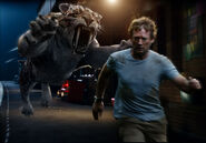 Gallery 3 (4).jpg (408 KB)