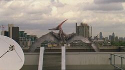 1x5 PteranodonOnRoofTop