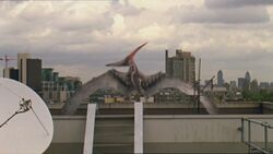 The Pteranodon resting on a roof top