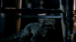 A baby Kaprosuchus