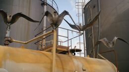 Several Anurognathus at New Dawn