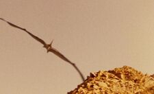 A Pteranodon in the Cretaceous attacking Helen Cutter for entering its nest