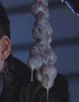 A sac of Jurassic Beetle eggs