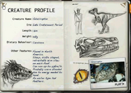 Sketchbook profile: Raptor