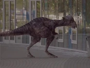 Pachycephalosaurus (Truth)