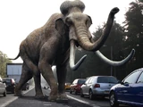 Columbian Mammoth